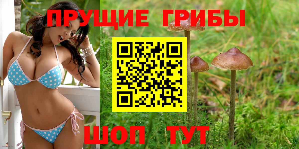 Галлюциногенные грибы мухоморы Нижний Новгород