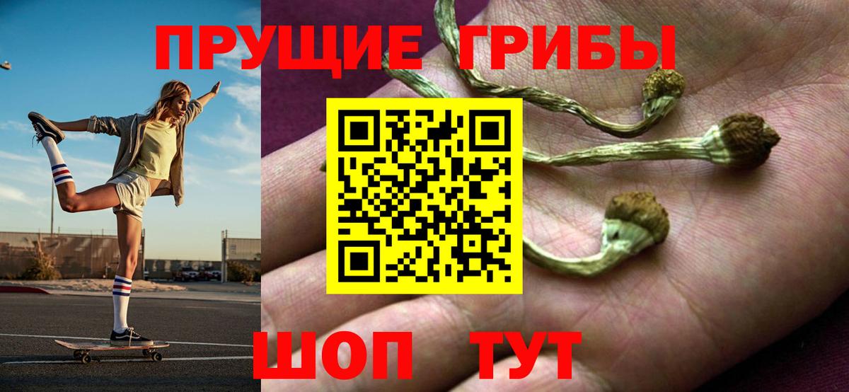 Псилоцибиновые грибы мухоморы  где можно купить наркотик  Нижний Новгород  Вход с VPN  Псилоцибиновые грибы Magic Shrooms 